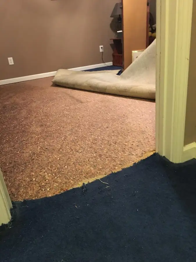 Carpet pad removal revealing water damage during Water Mitigation Services in Sauk Village